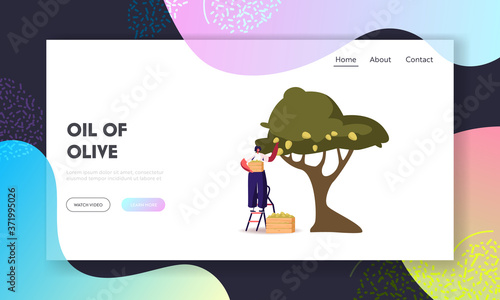 Natural Oil Production Landing Page Template. Woman Collecting Ripe Olives from Branch with Green Berries and Leaves