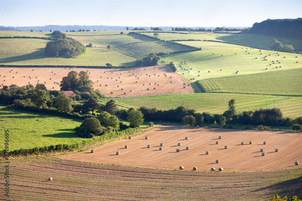 Fototapeta premium french countryside near Calais in parc regional de caps et marais in the north of france