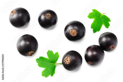 Canvas Print black currant with green leaf isolated on white background