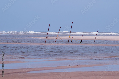  Lagoa do Peixe in Mostardas , Rio Grande do Sul