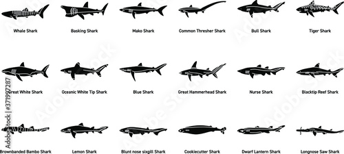 A Set of Shark Icon s Illustrations