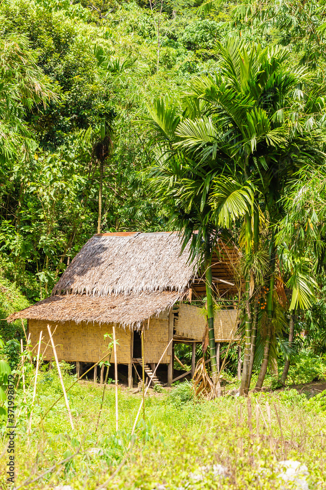 Bukit Lawang on Sumatra, Indonesia Bukit Lawang on Sumatra, Indonesia