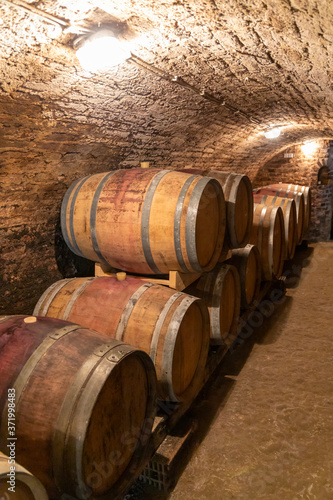 wine cellar with wooden barrels in Hajos, Southern Transdanubia,Hungary