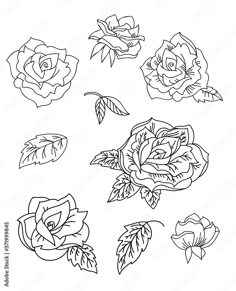 Line art vector set of rose flowers Line art vector set of rose flowers