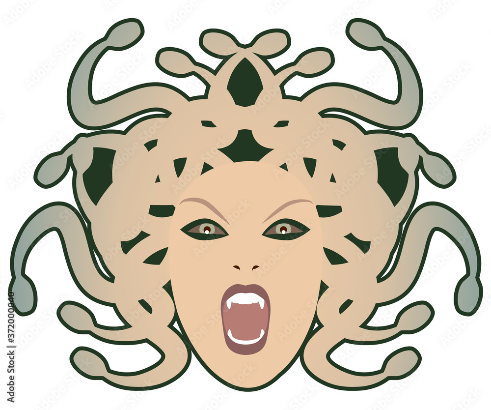 Head of Medusa. Mythological creature with human appearance and hair of snakes, isolated on white background Head of Medusa. Mythological creature with human appearance and hair of snakes, isolated on white background