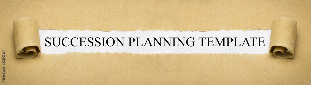 Succession Planning Template Succession Planning Template