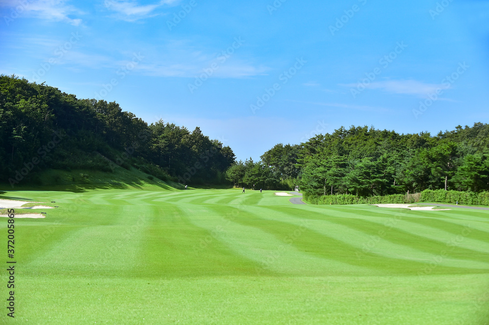 Fairway and Green on the Golf Course