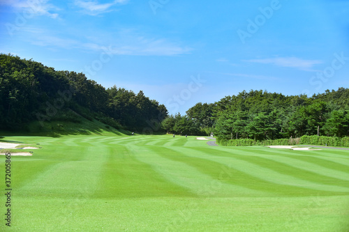 Fairway and Green on the Golf Course