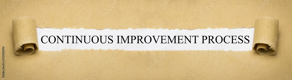 Continuous Improvement Process Continuous Improvement Process