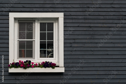 gray wall with white French window and flowers