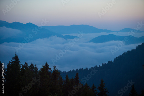 Fototapeta Naklejka Na Ścianę i Meble -  Among the Fog Mountain View, Sunset, Rize, Turkey