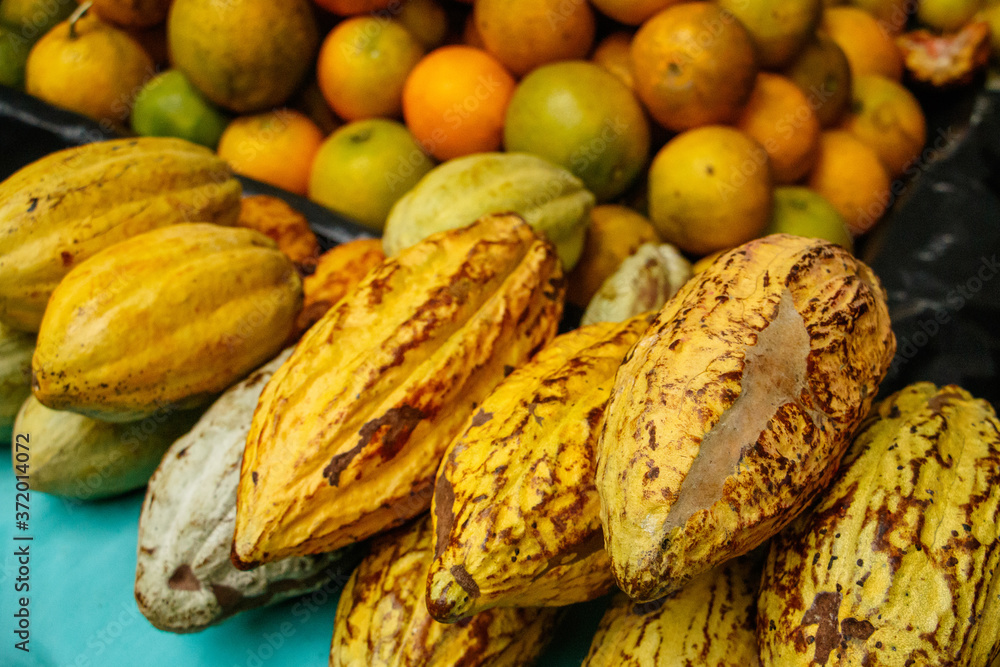 Delicious fresh cocoa fruit and oranges at traditional market of latin america Delicious fresh cocoa fruit and oranges at traditional market of latin america