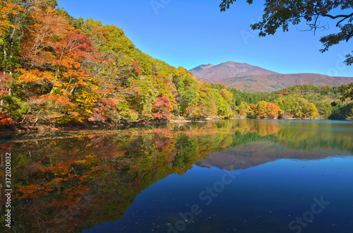 鏡面に鮮やかな紅葉と蔵王を映し出す長老湖の絶景