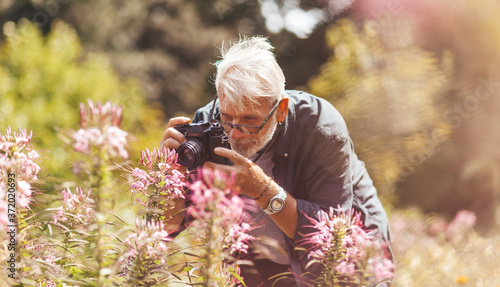 Fotografi Elderly pensioner photographing pink flowers in the park, outdoor hobby