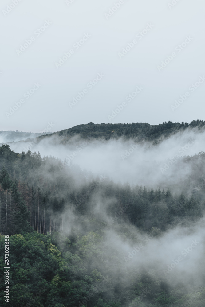 Foggy Day in the hills of Germany