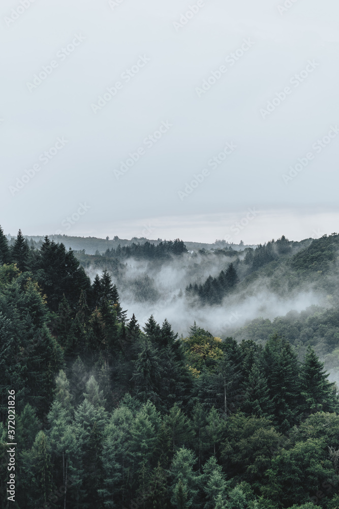 Foggy Day in the hills of Germany