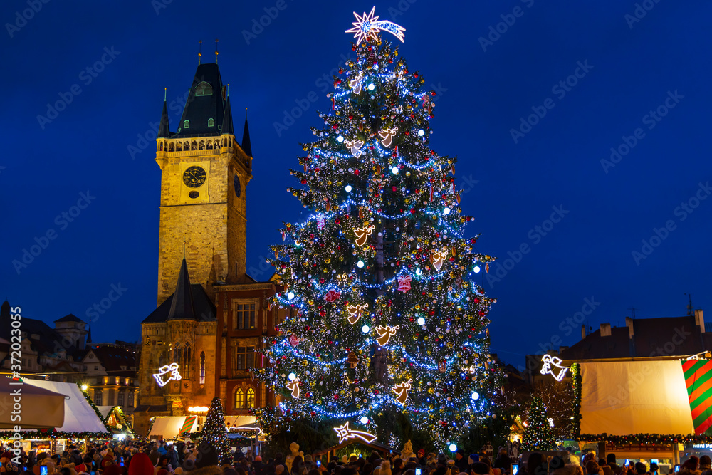 Christmas tree on Old Town Square in Prague, Czech Republic