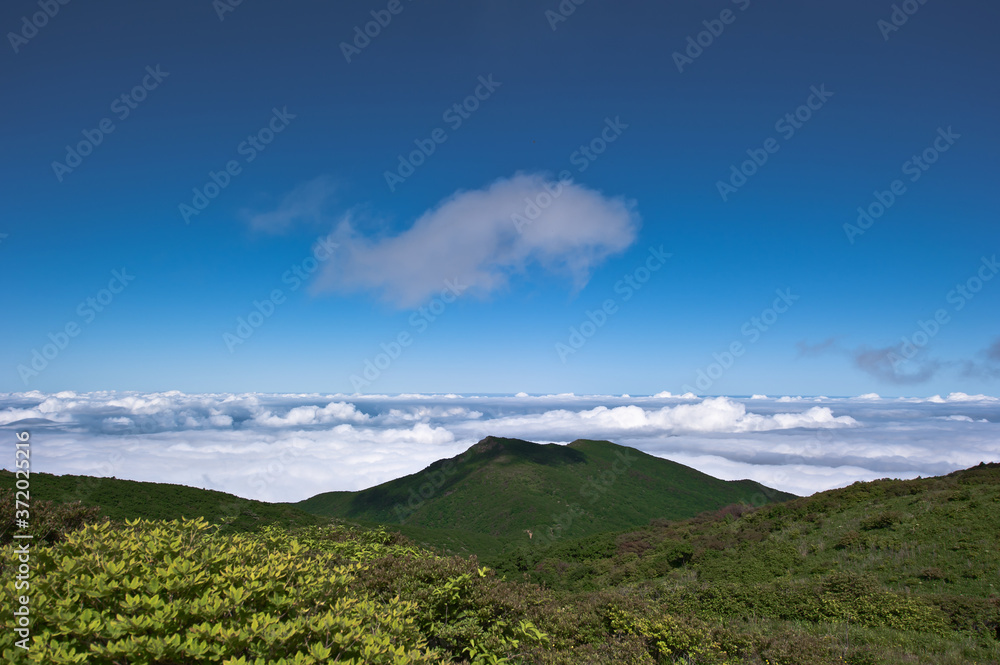 Wonderful and curious sea of clouds at beautiful mountain landscape. Wonderful and curious sea of clouds at beautiful mountain landscape.