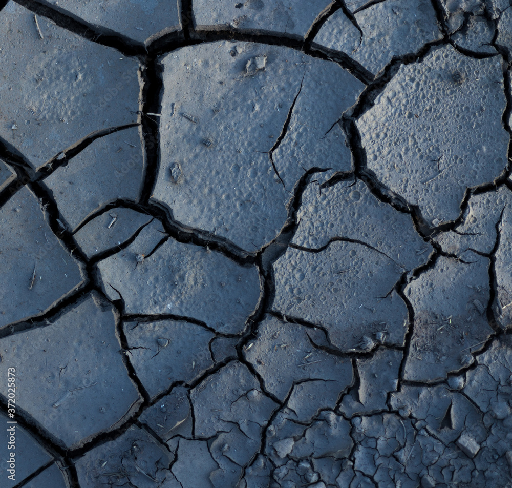 Obraz premium Dry cracked soil.