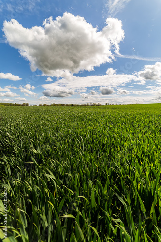 Clouds over a fields.
