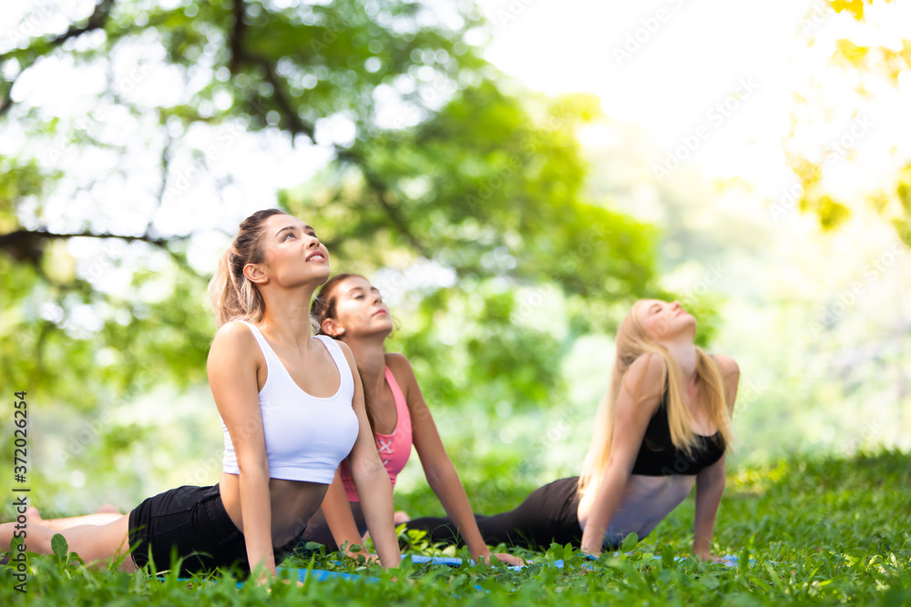 group of diverse young woman attending a yoga class outside in park. Attractive young sport girls are doing yoga together outdoor. group of diverse young woman attending a yoga class outside in park. Attractive young sport girls are doing yoga together outdoor.
