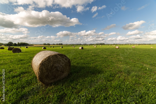 Hay bales in peacful summer afternoon