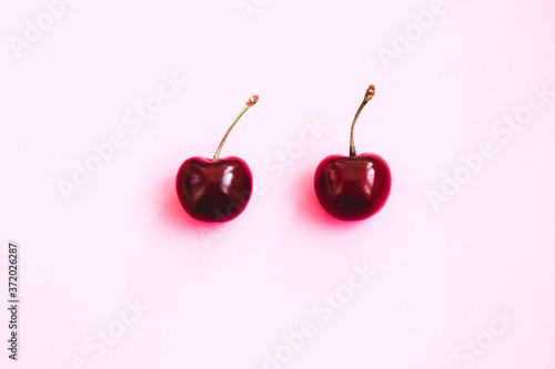 Two pink cherries on a pink background
