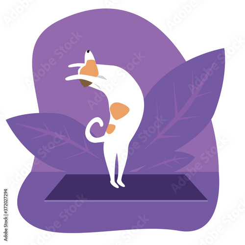 Yoga and jack russell terrier as cartoon character, cute flat vector stock illustration with dog as concept of yoga pose, asana, health, sport