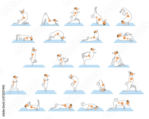 Set of yoga poses or asanas with jack russell terrier character as a sport endpoint, outline vector stock illustration with dog isolated on white background