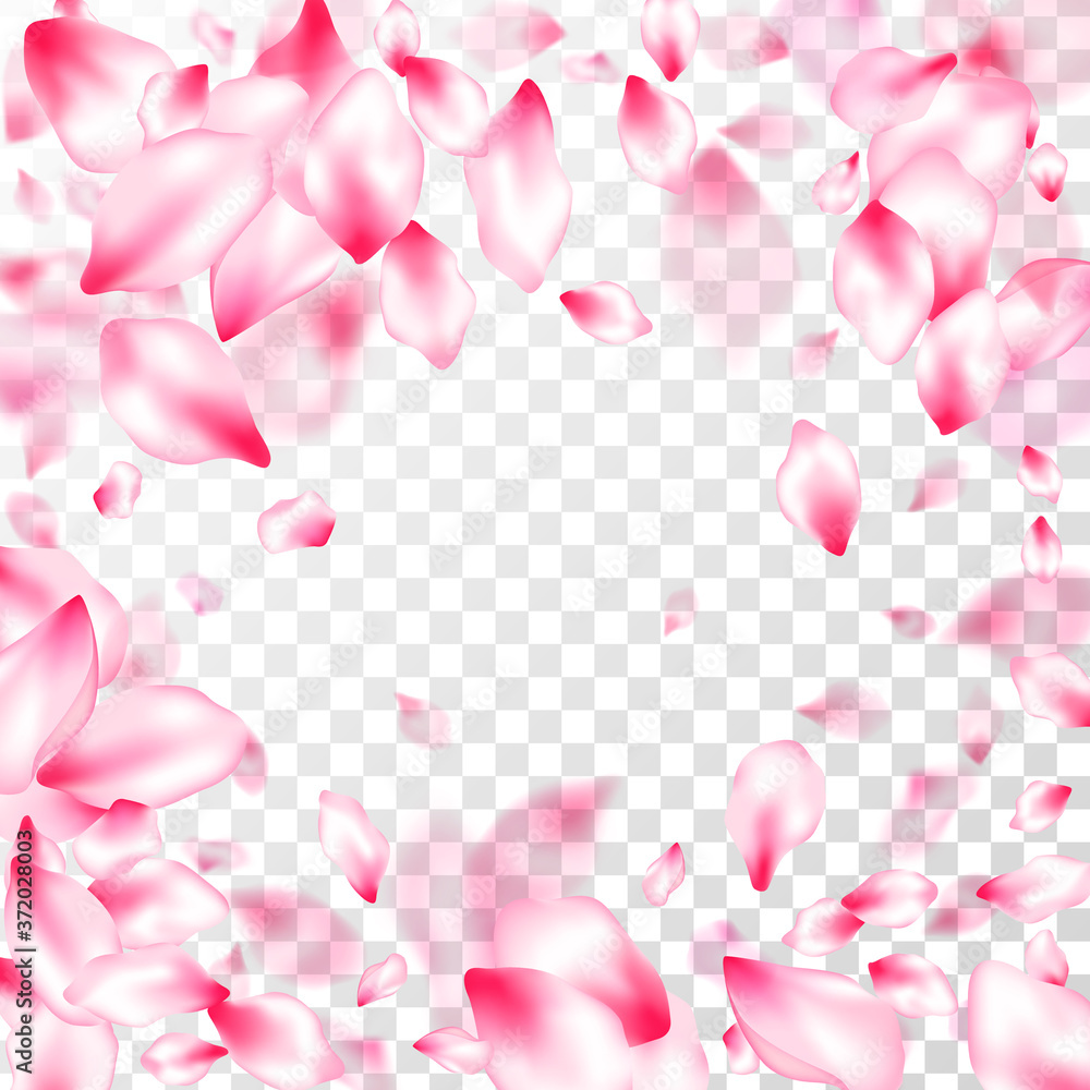 Spring tree flowers parts, airy flying petals Spring tree flowers parts, airy flying petals