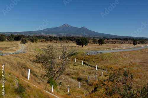 the malinche