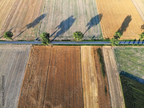 Agriculture in Poland