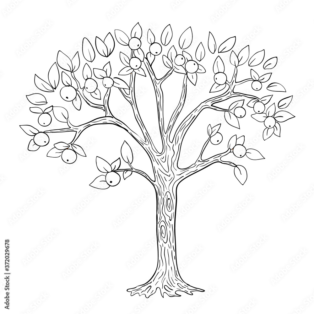 Apple tree coloring page. Vector black and white Stock Vector | Adobe Stock