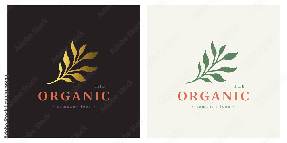 Leaf organic plant raw logo illustration Leaf organic plant raw logo illustration