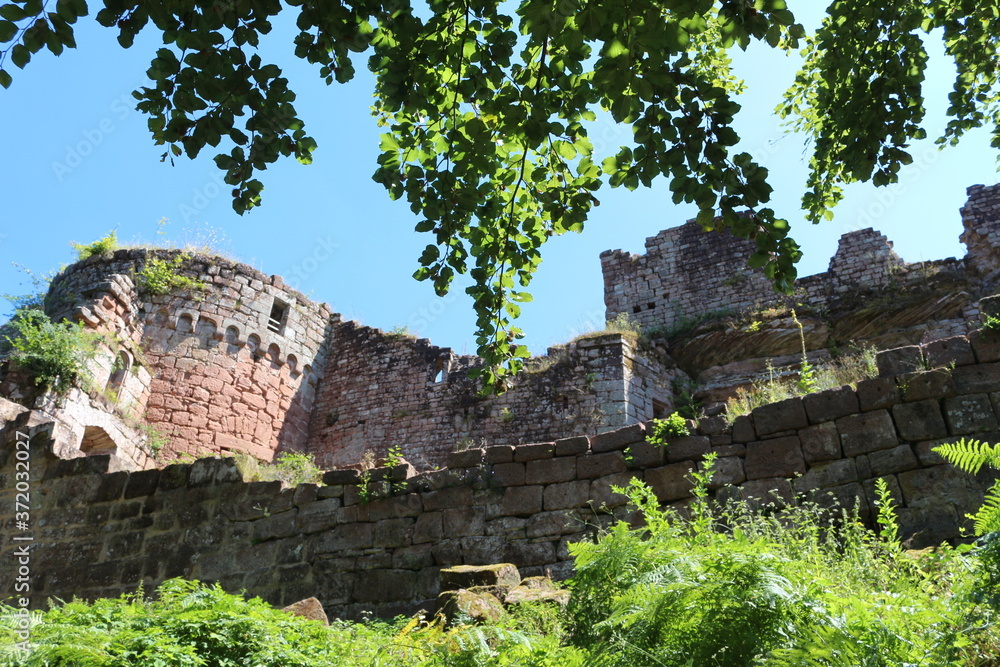 visite de château fort en Alsace du Sud