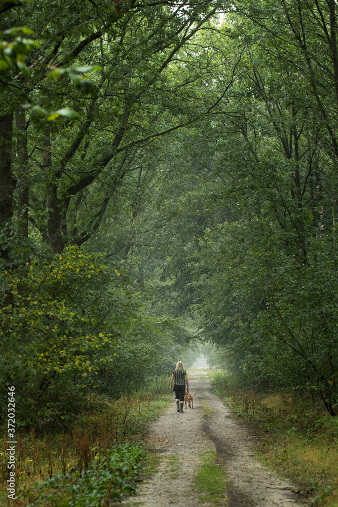 Walking the dog. Countryroad. Forest Echten Drenthe Netherlands Walking the dog. Countryroad. Forest Echten Drenthe Netherlands