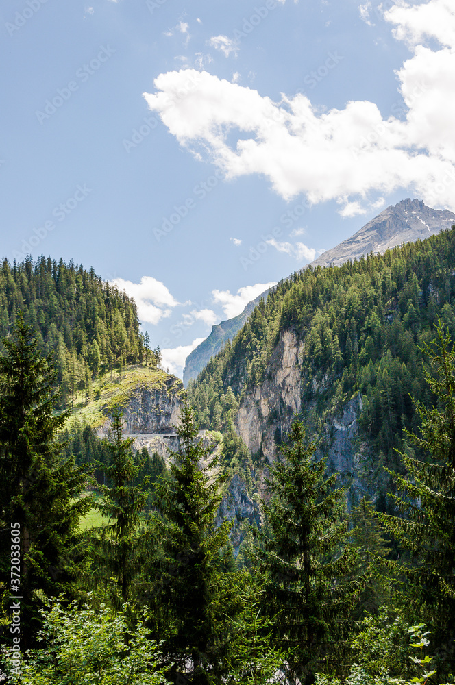 Obraz premium Albula, Albulapass, Passstrasse, Bergstrasse, Albulapass, Passhöhe, Park Ela, Bergün, Wanderweg, Schlucht, Graubünden, Engadin, La Punt Chamues-ch, Alpen, Sommer, Schweiz 