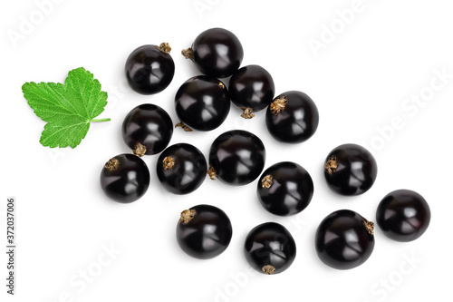 black currant with leaves isolated on white background with clipping path. Top view. Flat lay pattern