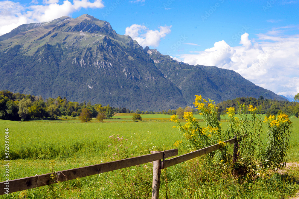 Paesaggio montano con campi, steccayo e fiori in una bella giornata estiva Paesaggio montano con campi, steccayo e fiori in una bella giornata estiva