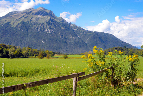 Paesaggio montano con campi, steccayo e fiori in una bella giornata estiva