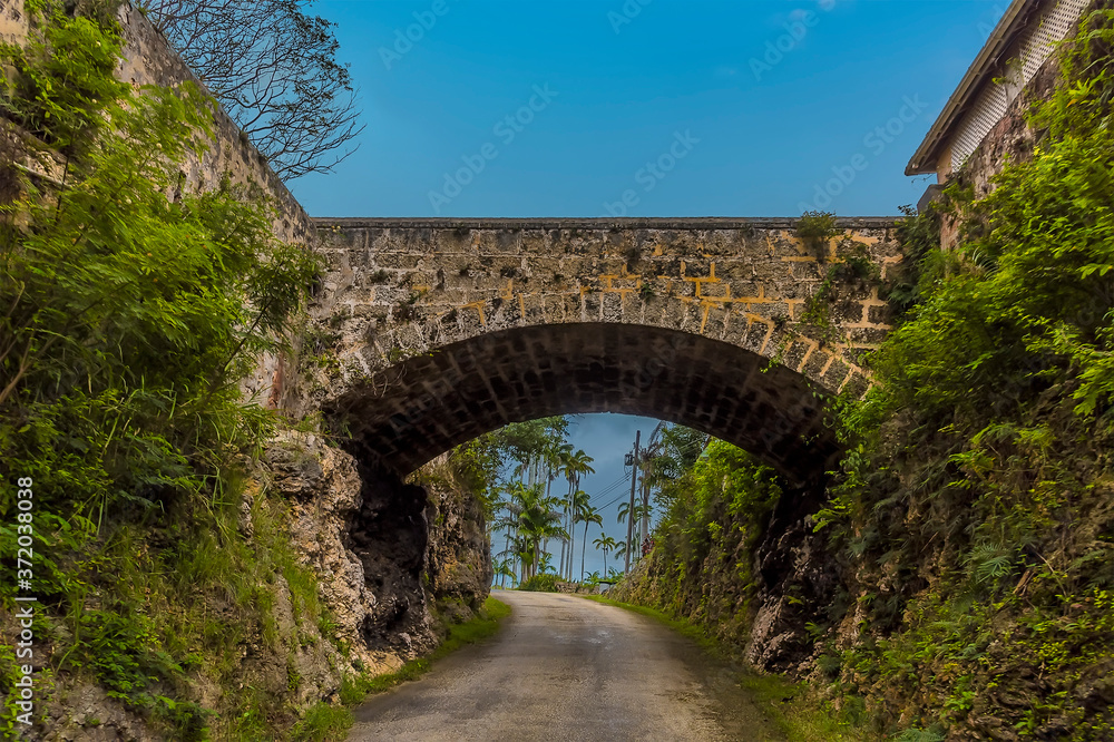 A buttress bridge in the highlands on the Atlantic coast of Barbados A buttress bridge in the highlands on the Atlantic coast of Barbados