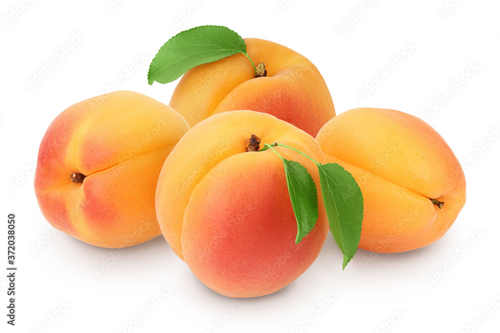 apricot fruit isolated on white background. Clipping path and full depth of field apricot fruit isolated on white background. Clipping path and full depth of field