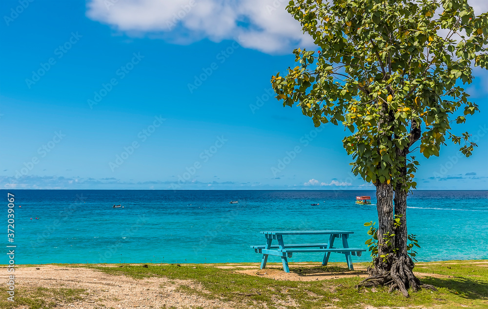 An idyllic Caribbean beach in Bridgetown, Barbados