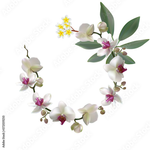 Tropical flowers. Orchids. Floral background. Green leaves. Plumeria. Frangipani. Exotic plants. Pattern. White.