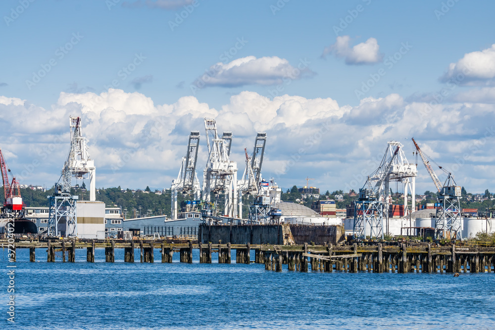 Port Docks Cranes 3
