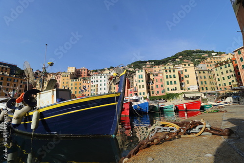 The characteristic seaside village of Camogli in the eastern Ligurian Riviera located between Recco and Rapallo. The heart of the town is in its characteristic porticcilo full of fishing boats and ple photo