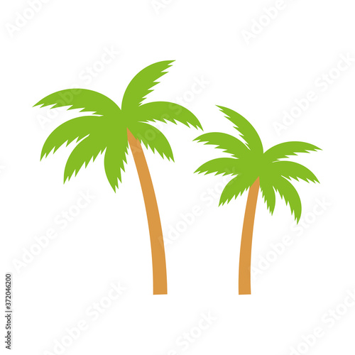 Palm trees icon. Palm tree summer vector illustration isolated on white