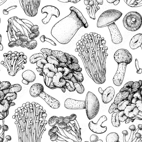 Mushrooms seamless pattern. Hand drawn sketch. Various mushrooms hand drawn vector illustration. Food background. Forest mushrooms. Black and white.