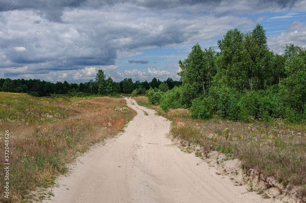 Wide dirt road in the middle of a green spring birch grove with a dark cloudy sky. Ukraine