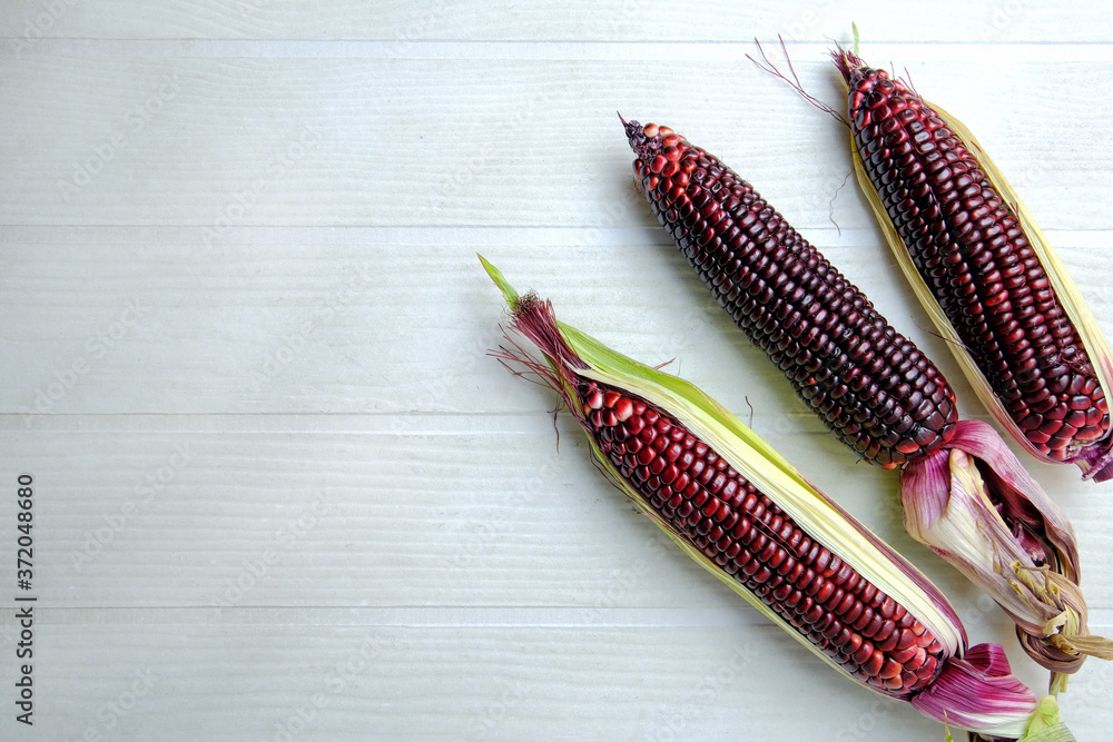 Fresh purple corn on white wooden table, organic agriculture for safety food production